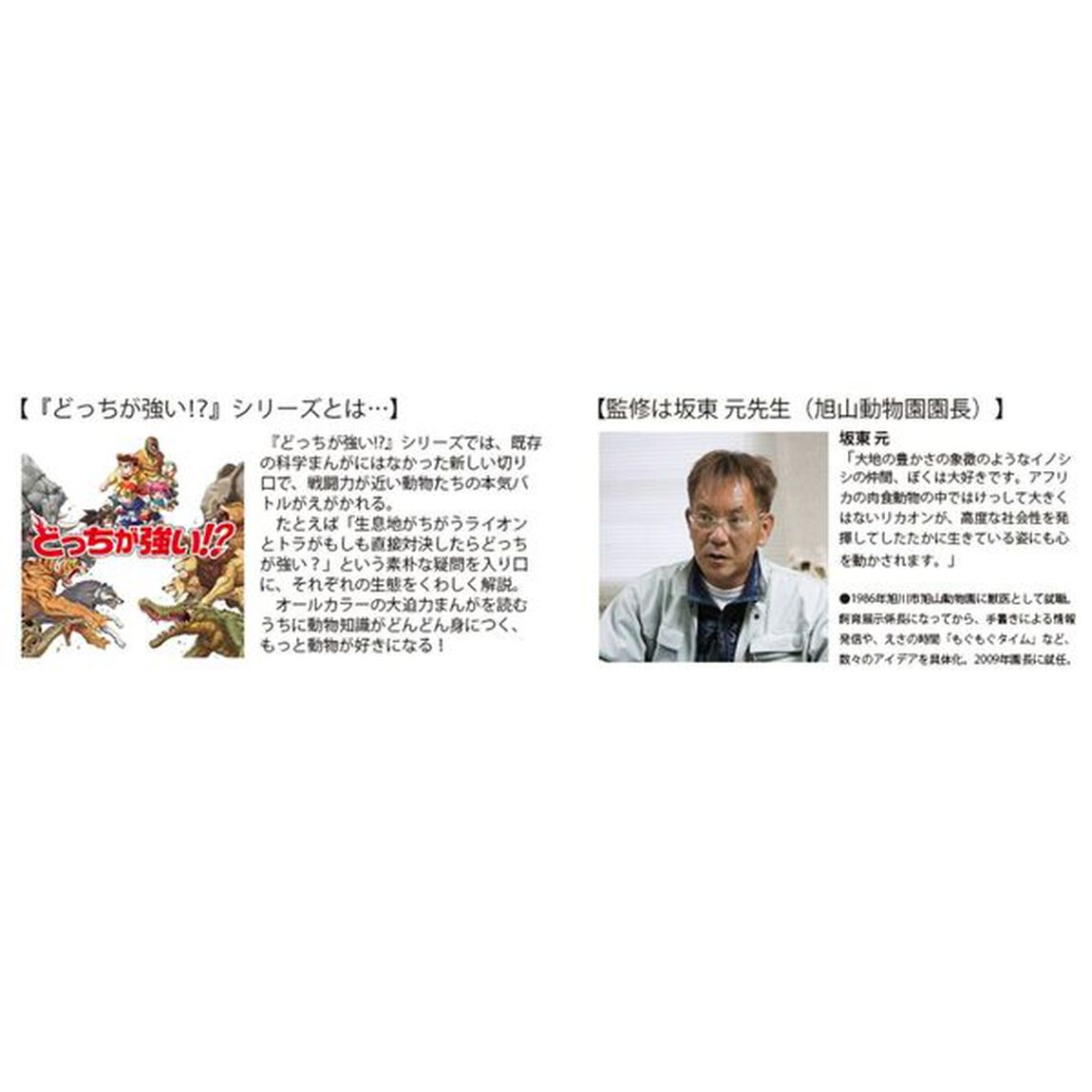 どっちが強い！？リカオンＶＳ（たい）モリイノシシ　最強ハンターの激突！