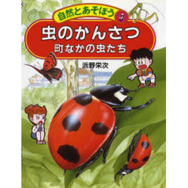 虫のかんさつ　町なかの虫たち