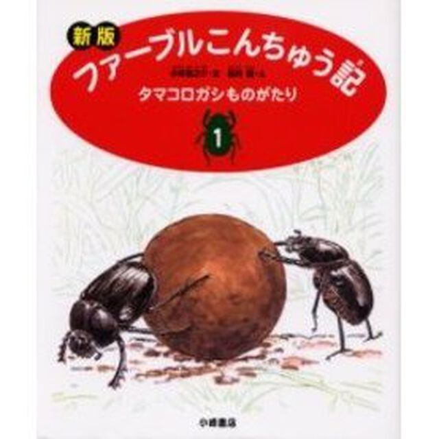 ファーブルこんちゅう記　１「新版」「タマコロガシものがたり」