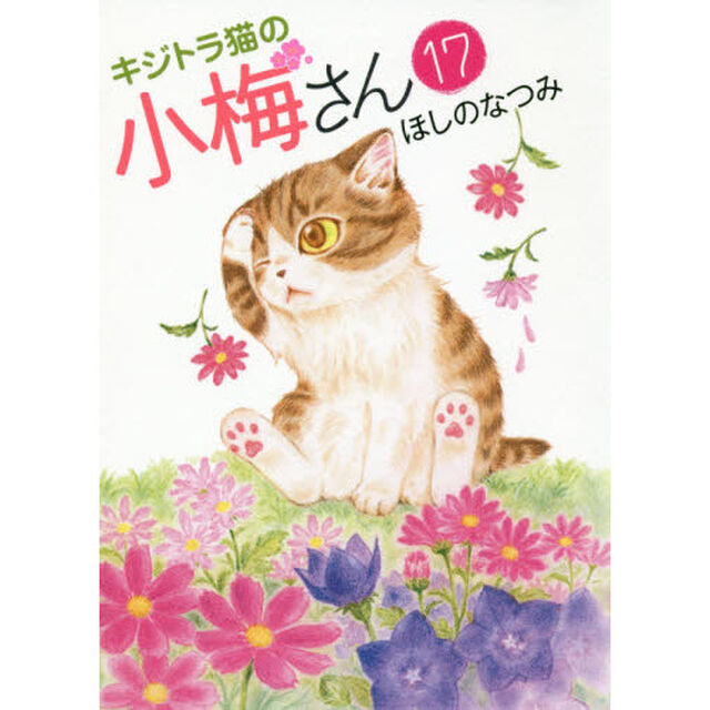 キジトラ猫の小梅さん　１７