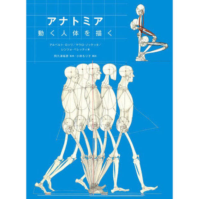 アナトミア動く人体を描く