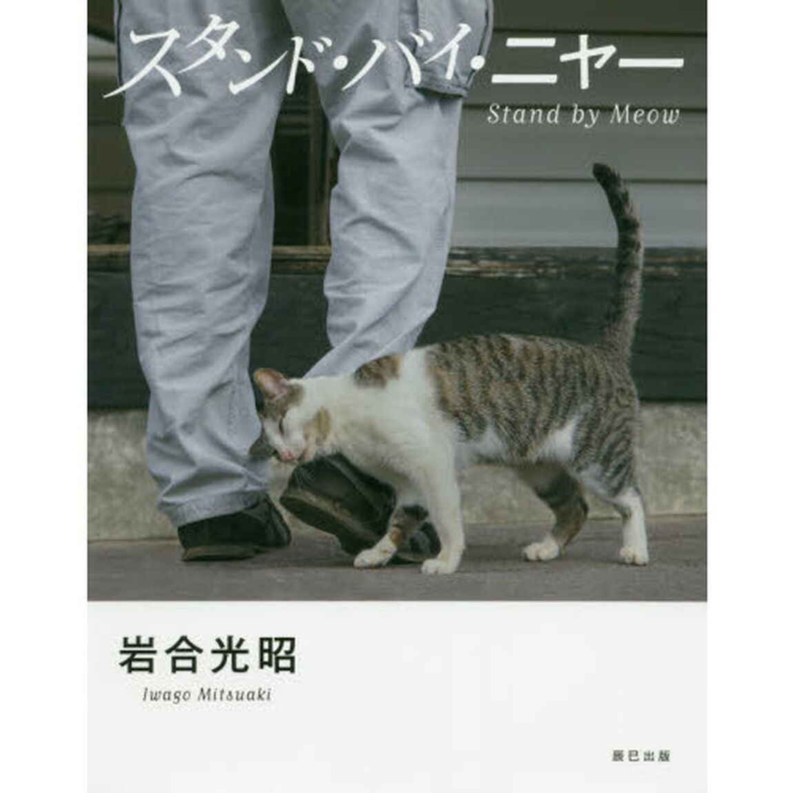 スタンド・バイ・ニャー