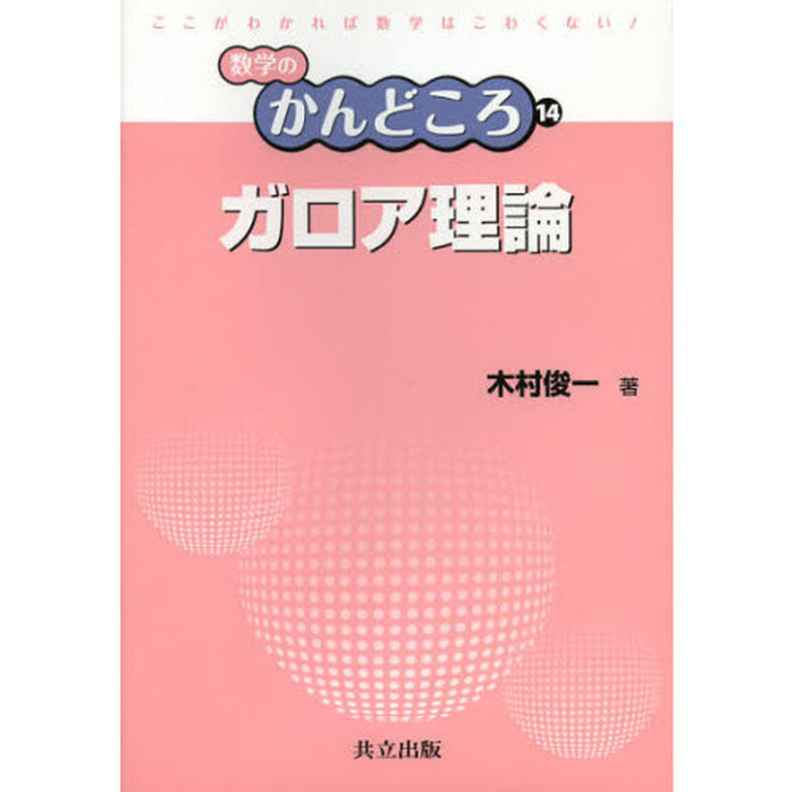 ガロア理論