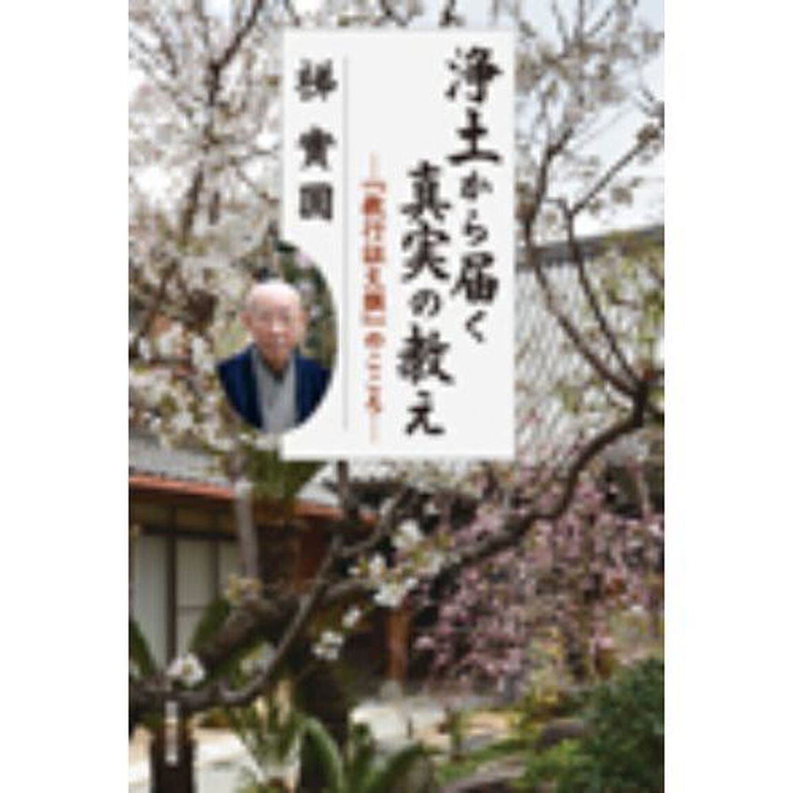 浄土から届く真実の教え　『教行証文類』のこころ