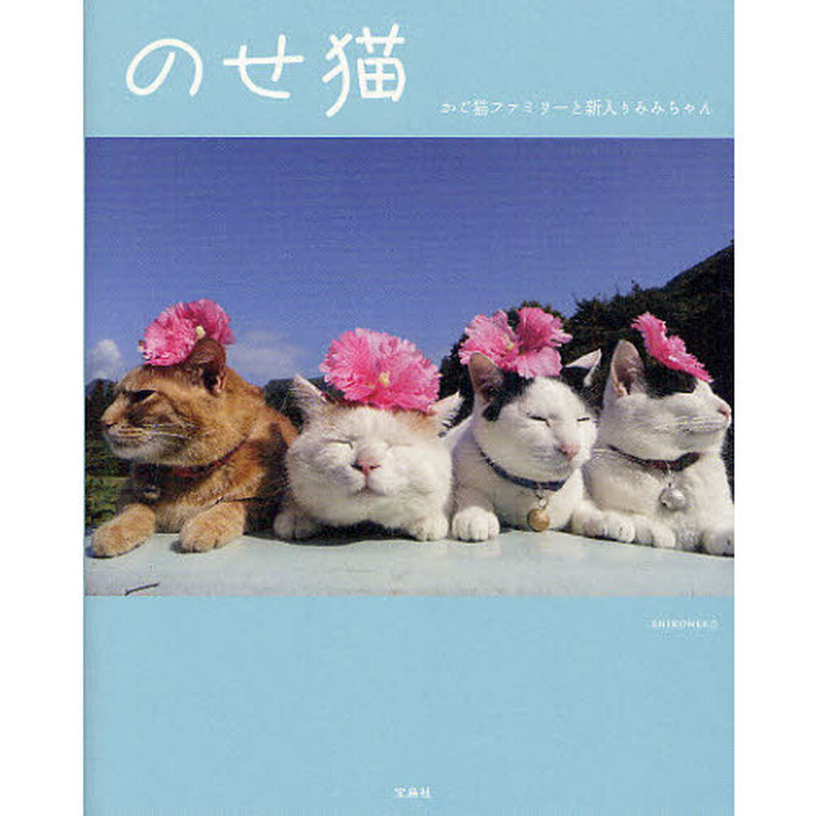 のせ猫　かご猫ファミリーと新入りみみちゃん
