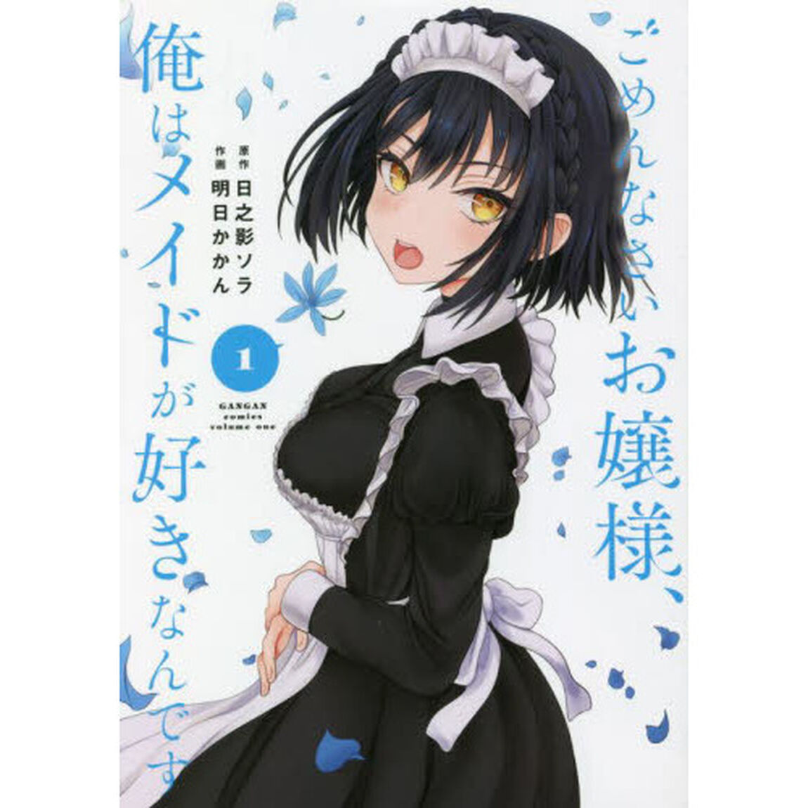 ごめんなさいお嬢様、俺はメイドが好きなんです　１
