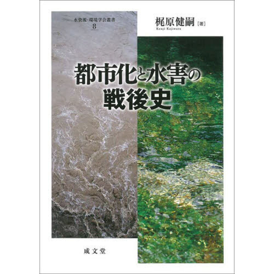 都市化と水害の戦後史