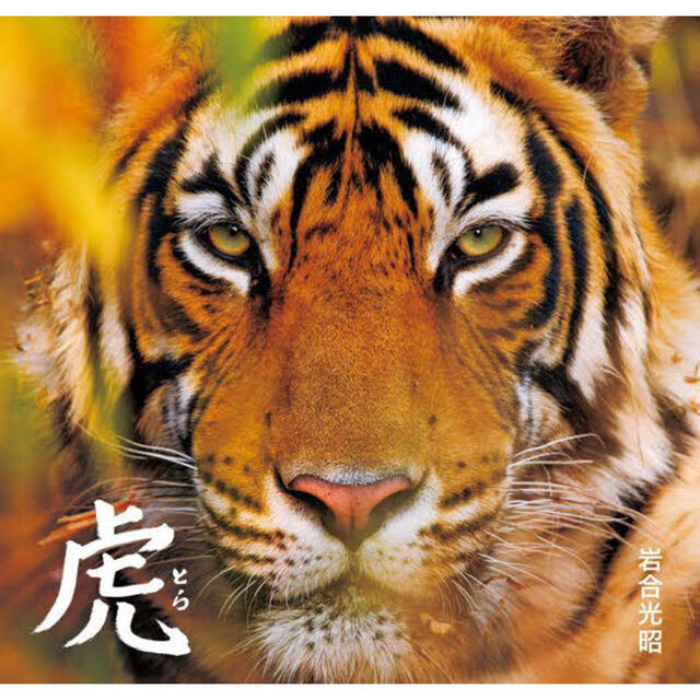 虎