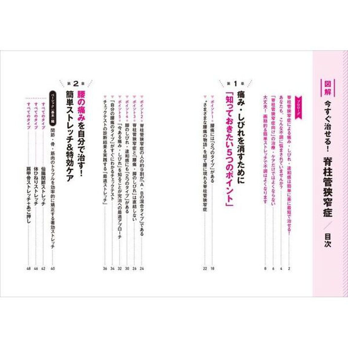 図解今すぐ治せる！脊柱管狭窄症　痛み取りのカリスマ治療家がわかりやすく教える症状改善への最短経路