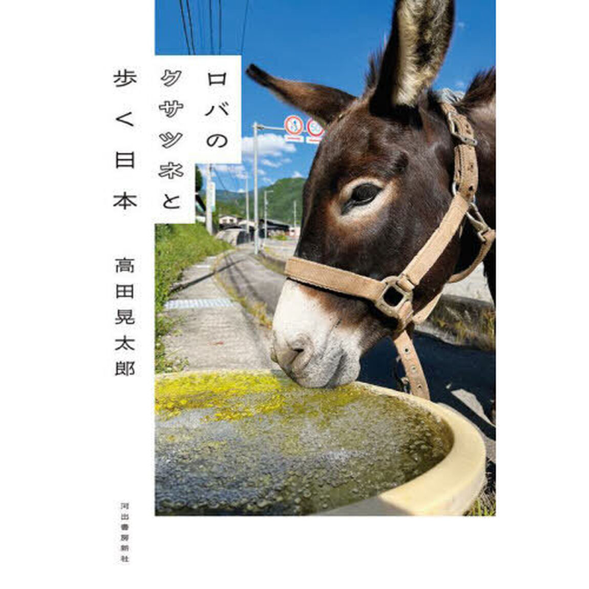 ロバのクサツネと歩く日本