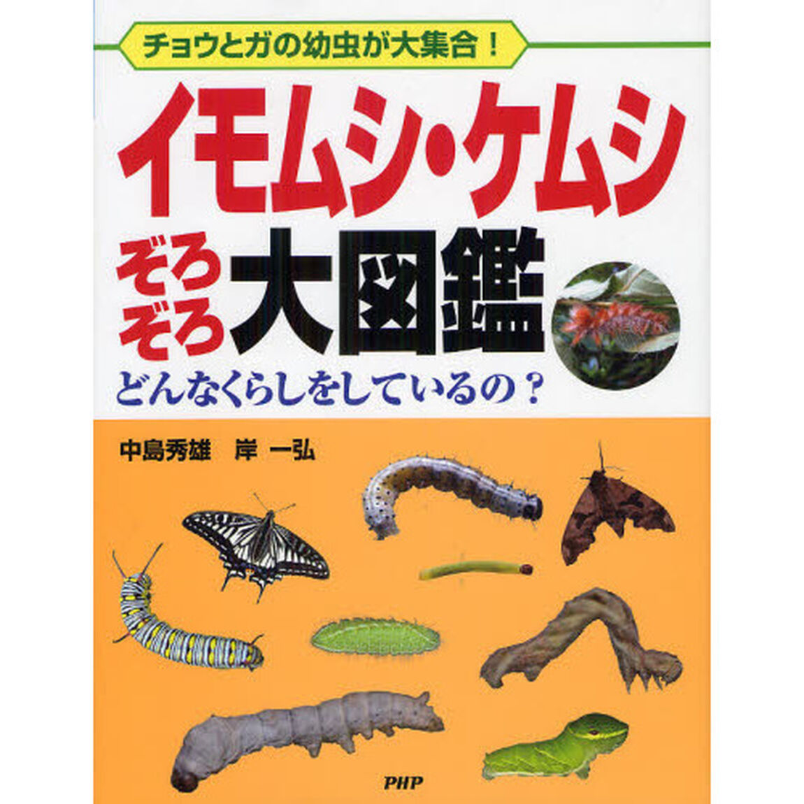 イモムシ・ケムシぞろぞろ大図鑑　チョウとガの幼虫が大集合！　どんなくらしをしているの？