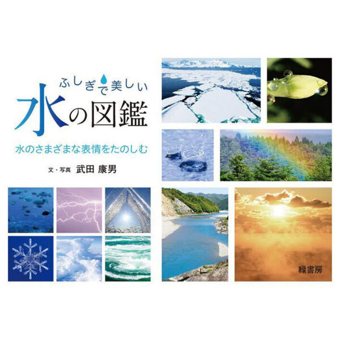 ふしぎで美しい水の図鑑　水のさまざまな表情をたのしむ