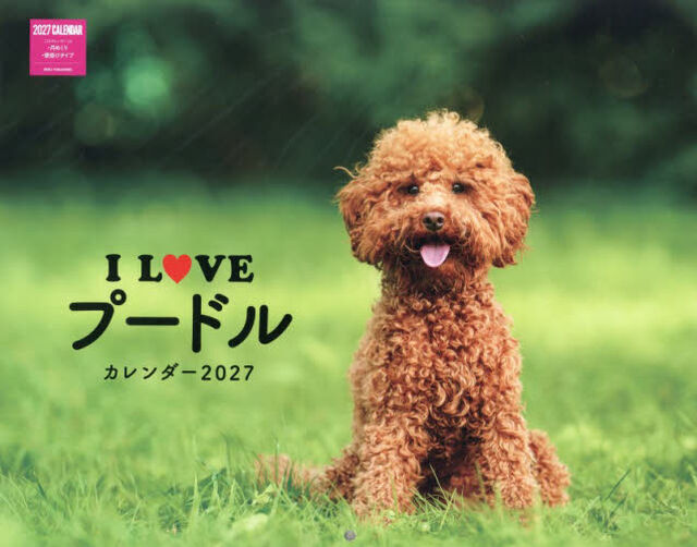 &rsquo;２７　Ｉ　ＬＯＶＥプードルカレンダー