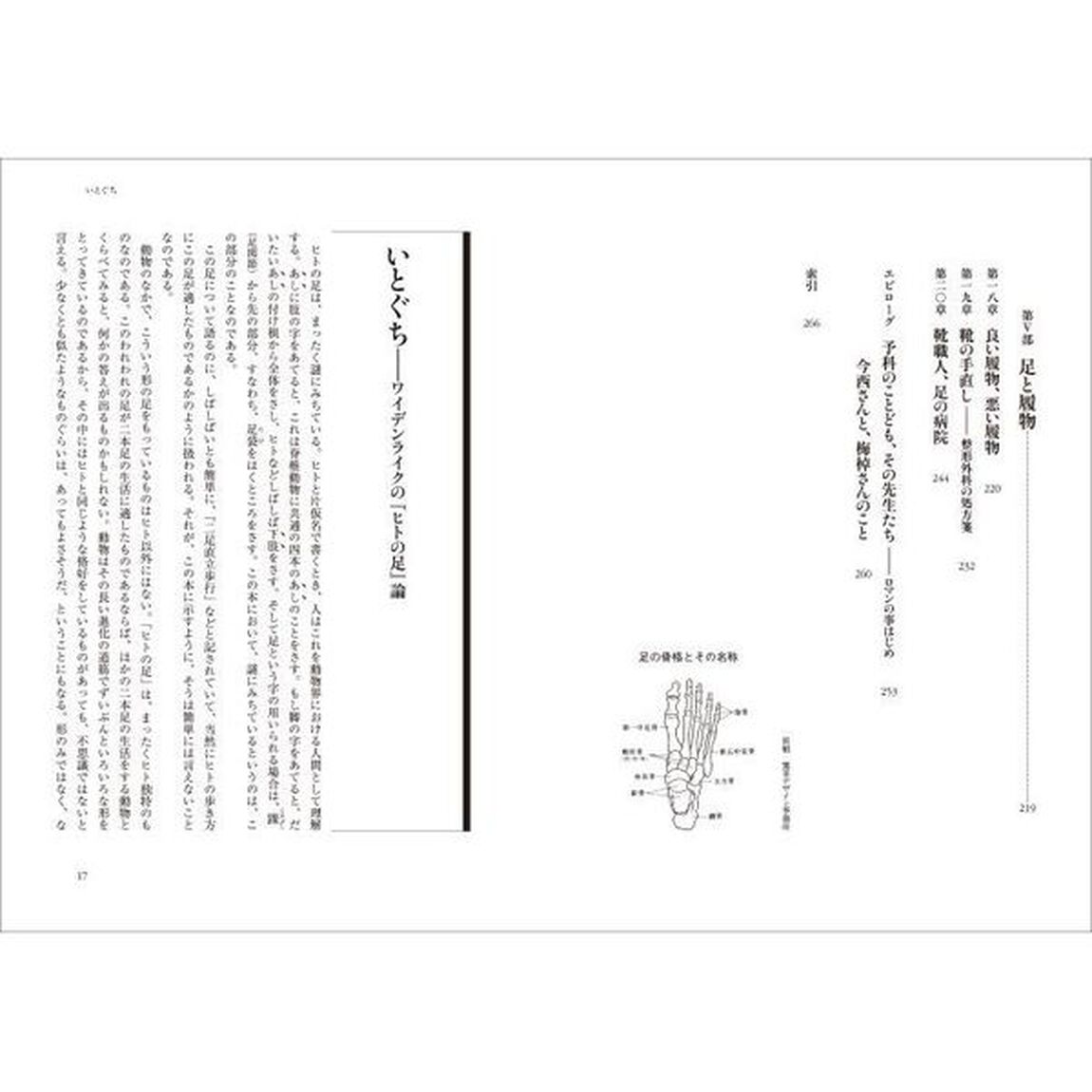 ヒトの足　この謎にみちたもの