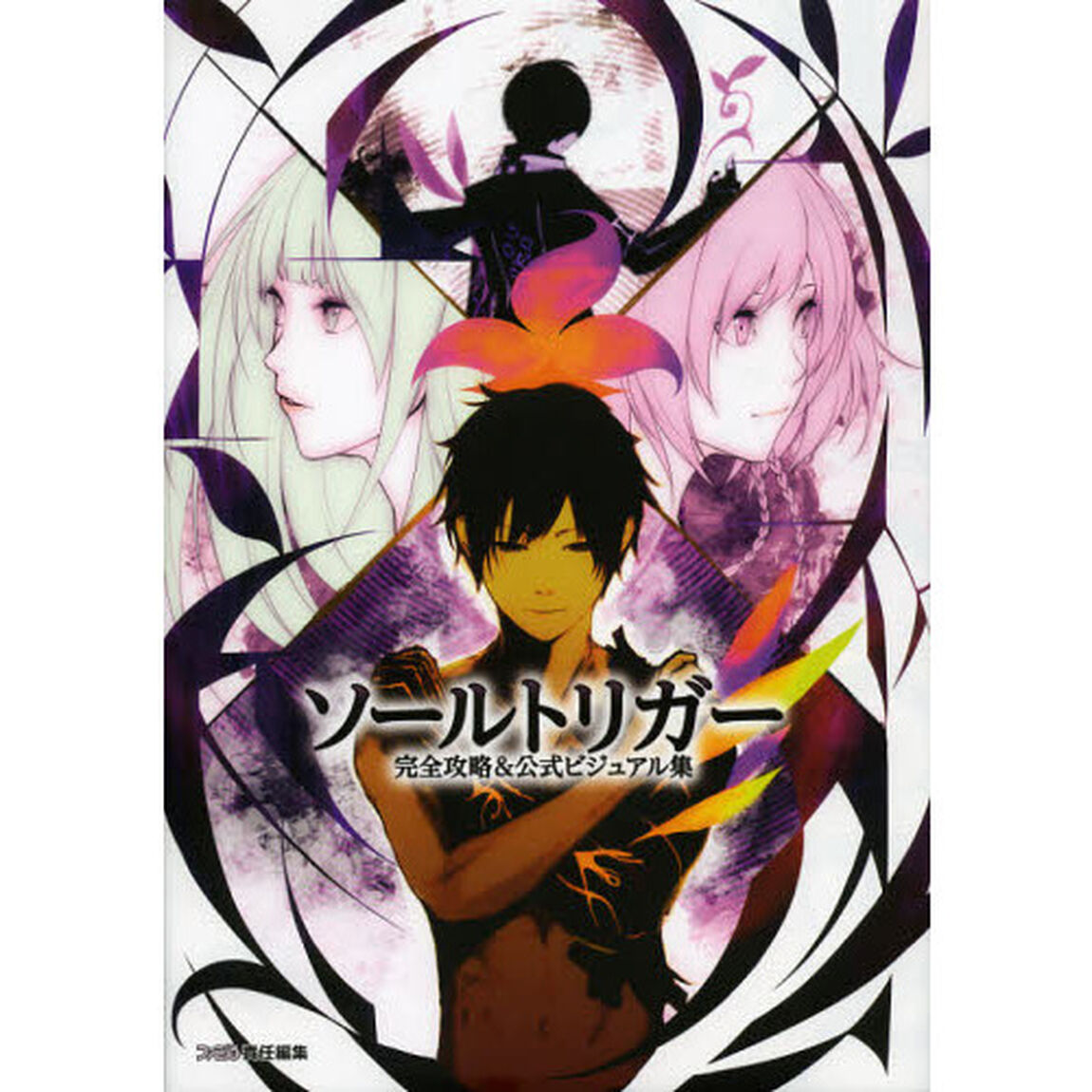 ソールトリガー完全攻略＆公式ビジュアル集