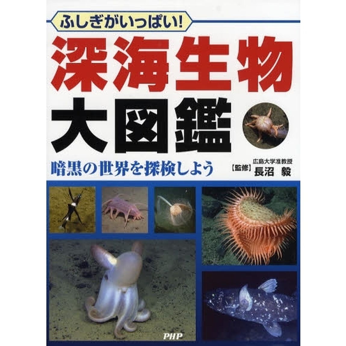 深海生物大図鑑　ふしぎがいっぱい！　暗黒の世界を探検しよう
