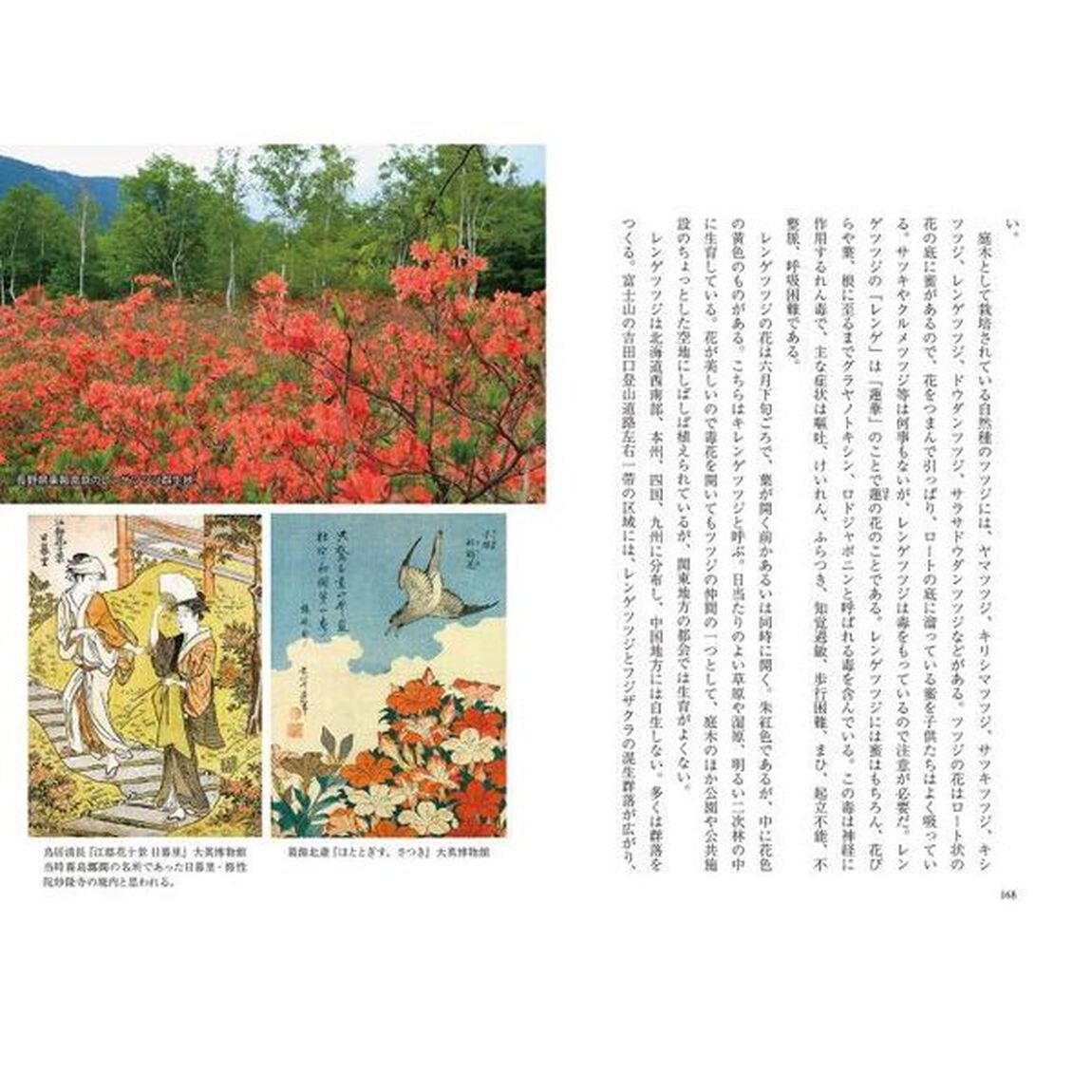 縁起のよい樹と日本人「新装版」