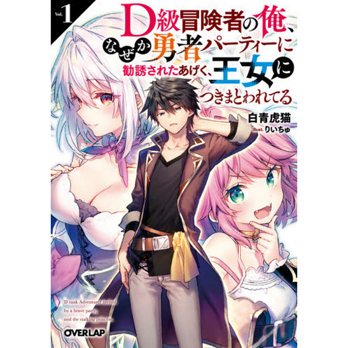 Ｄ級冒険者の俺、なぜか勇者パーティーに勧誘されたあげく、王女につきまとわれてる　１