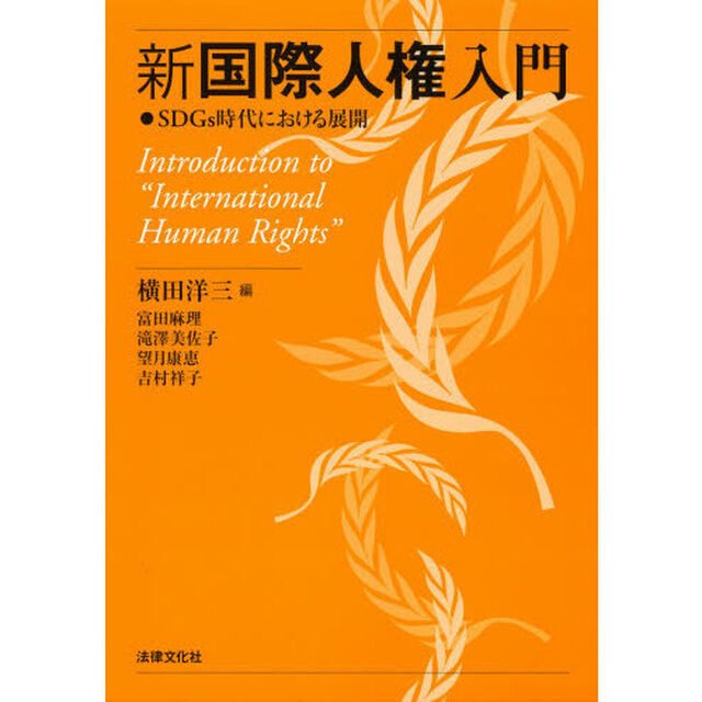 新国際人権入門　ＳＤＧｓ時代における展開