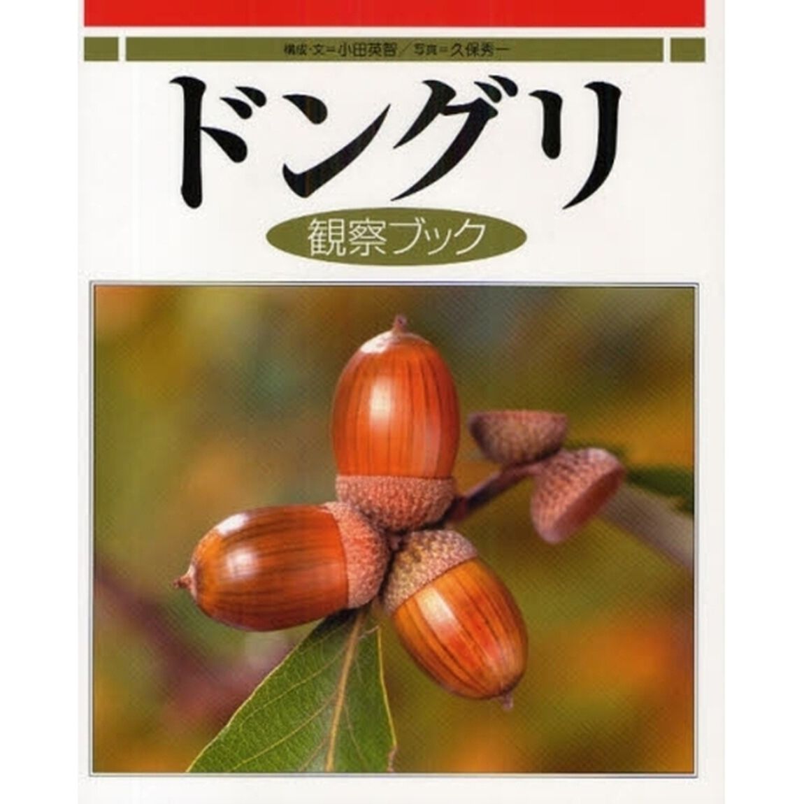 ドングリ観察ブック