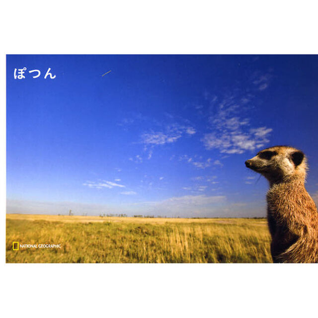 ナショジオ ワンダーフォトブック ぽつん