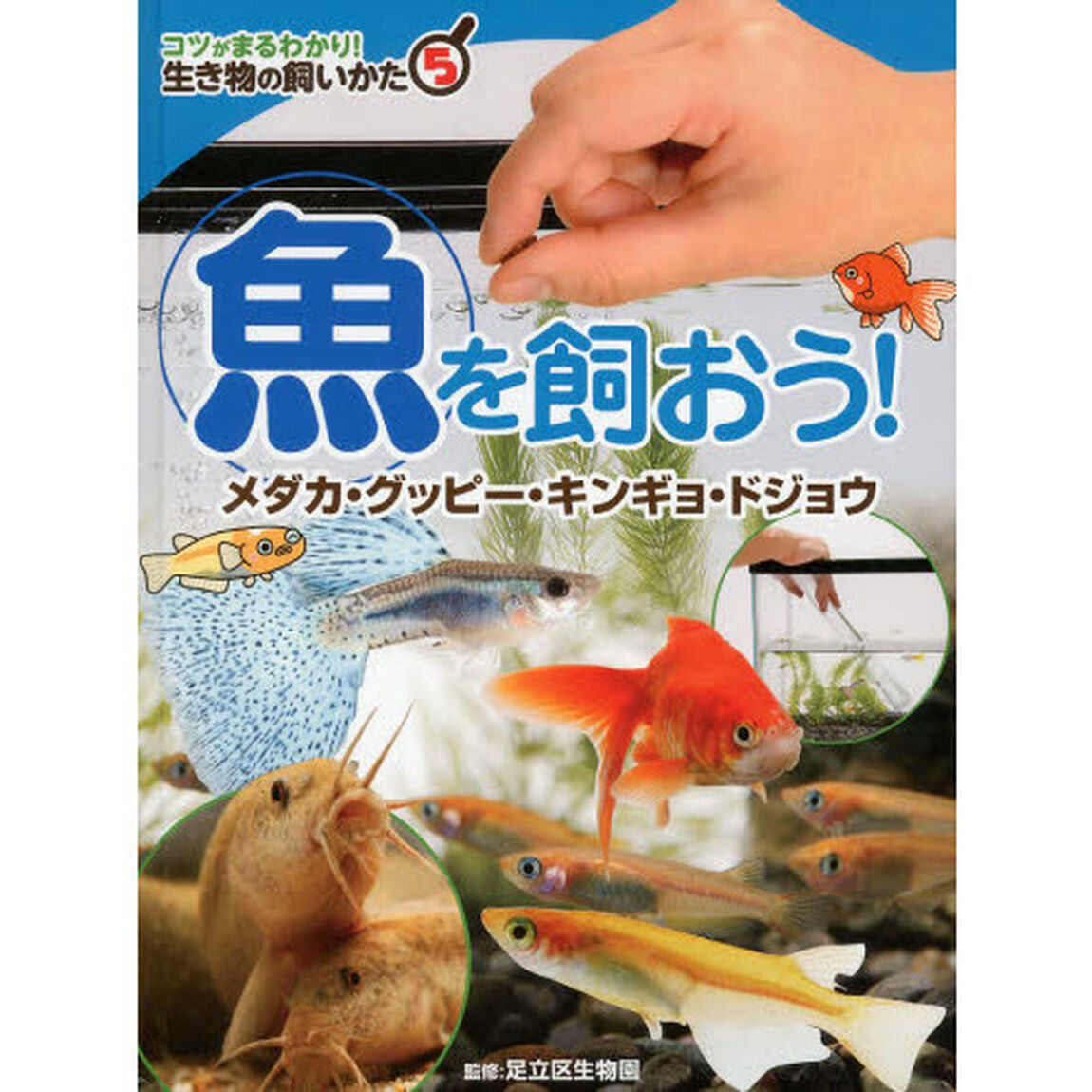 コツがまるわかり！生き物の飼いかた　５「魚を飼おう！　メダカ・グッピー・キンギョ・ドジョウ」