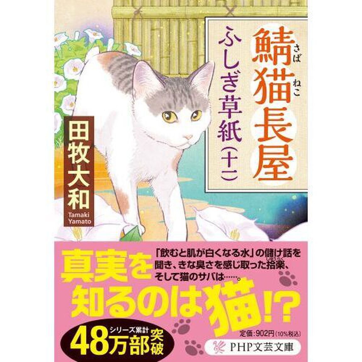 鯖猫長屋ふしぎ草紙　１１