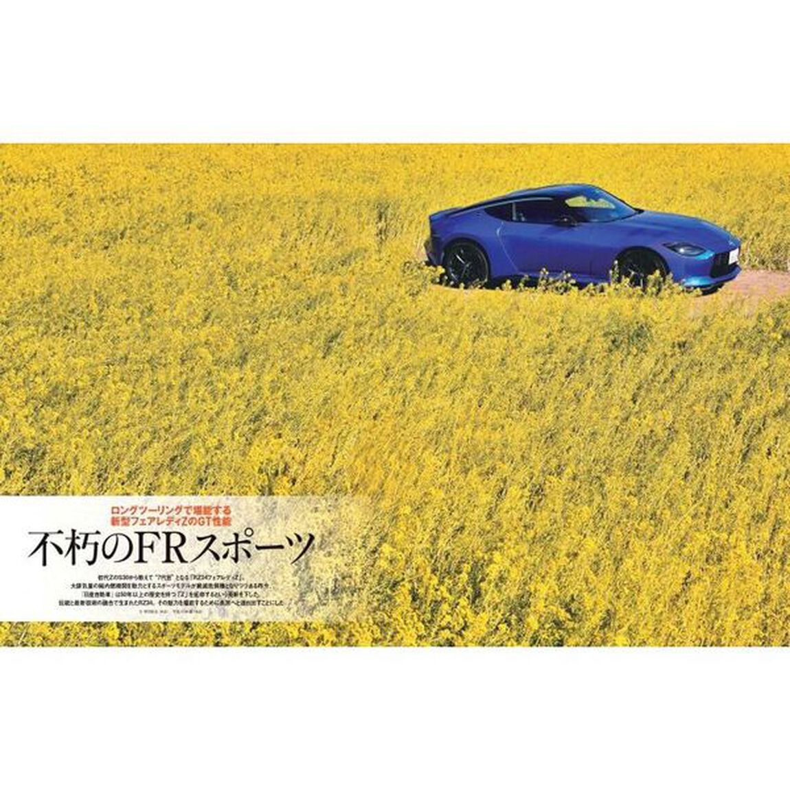 ＲＺ３４　ＦａｉｒｌａｄｙＺ　ＰＥＲＦＥＣＴ　ＢＯＯＫ