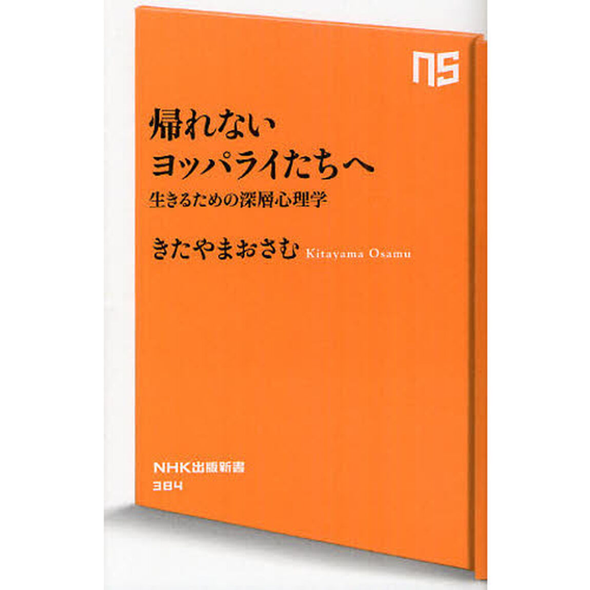 帰れないヨッパライたちへ　生きるための深層心理学