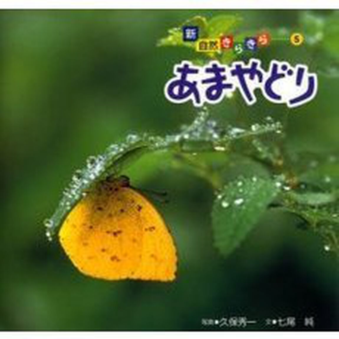 あまやどり