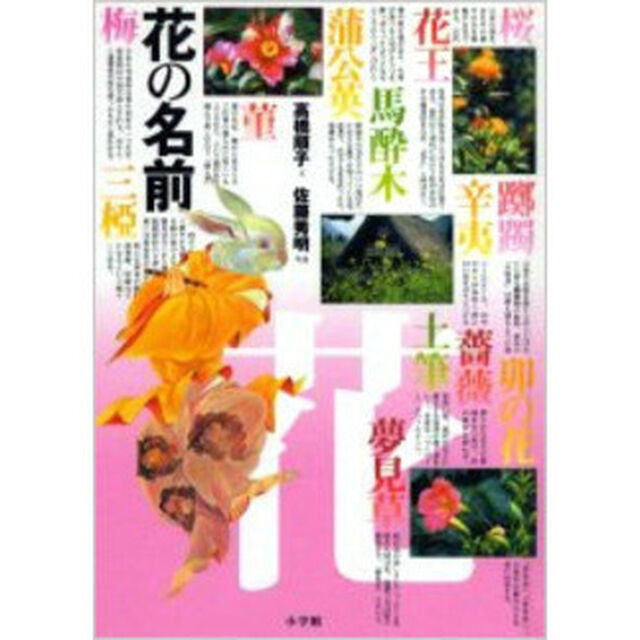 花の名前