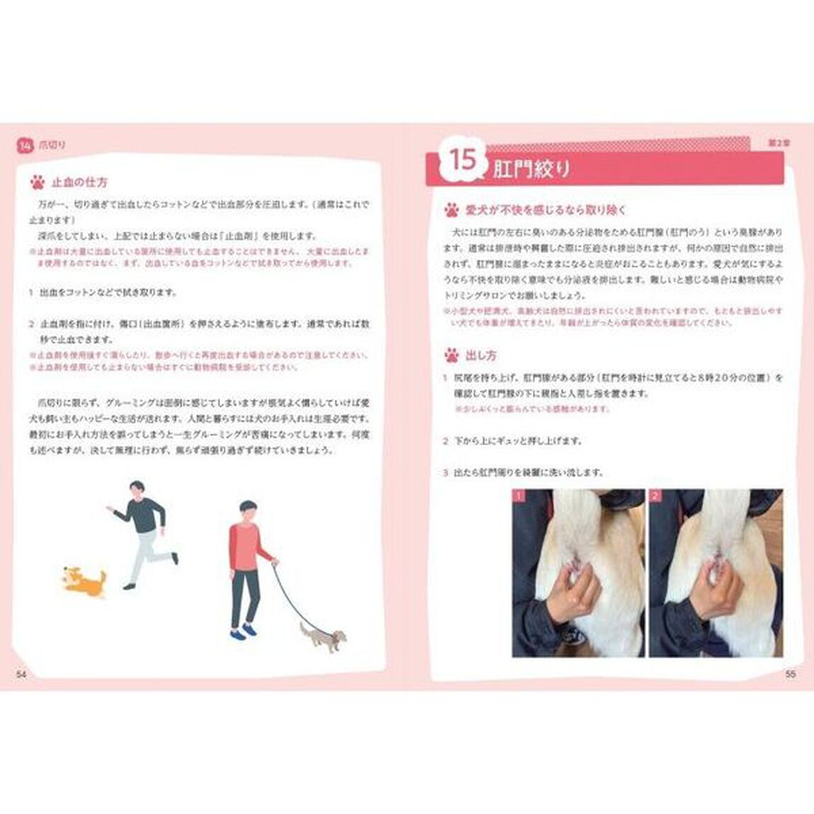 愛犬の健康を守る飼い主のための&ldquo;犬のお手入れ&rdquo;の教科書