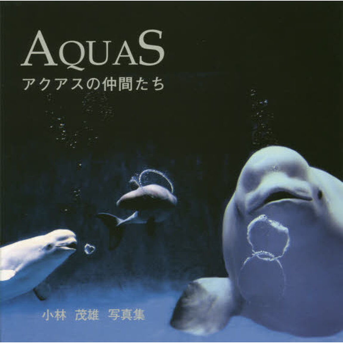 ＡＱＵＡＳ　アクアスの仲間たち　小林茂雄写真集