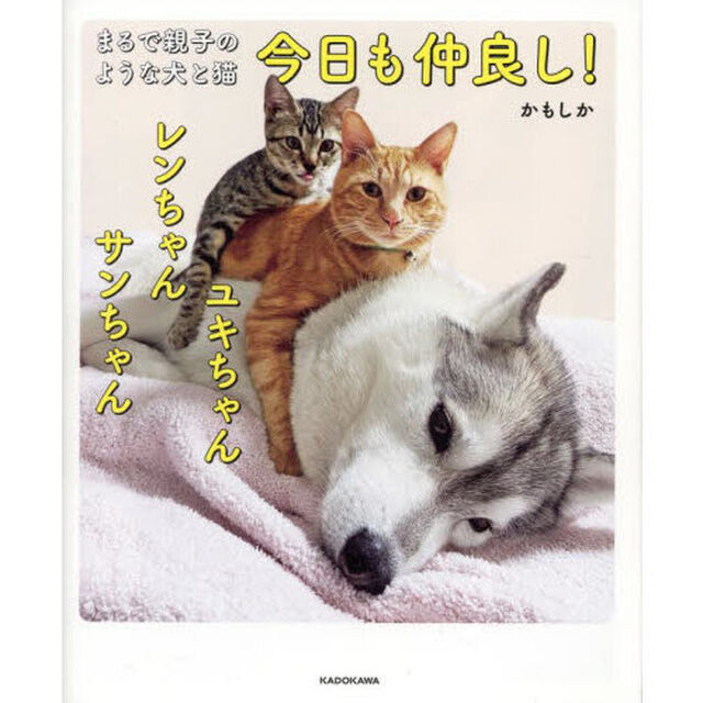 今日も仲良し！ユキちゃんレンちゃんサンちゃん　まるで親子のような犬と猫