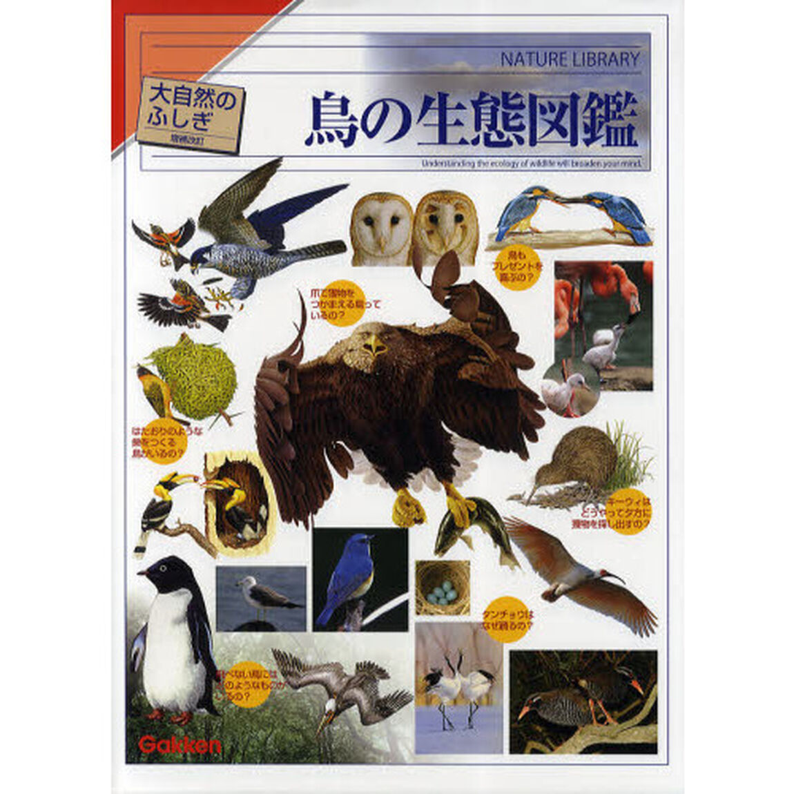 鳥の生態図鑑「増補改訂」