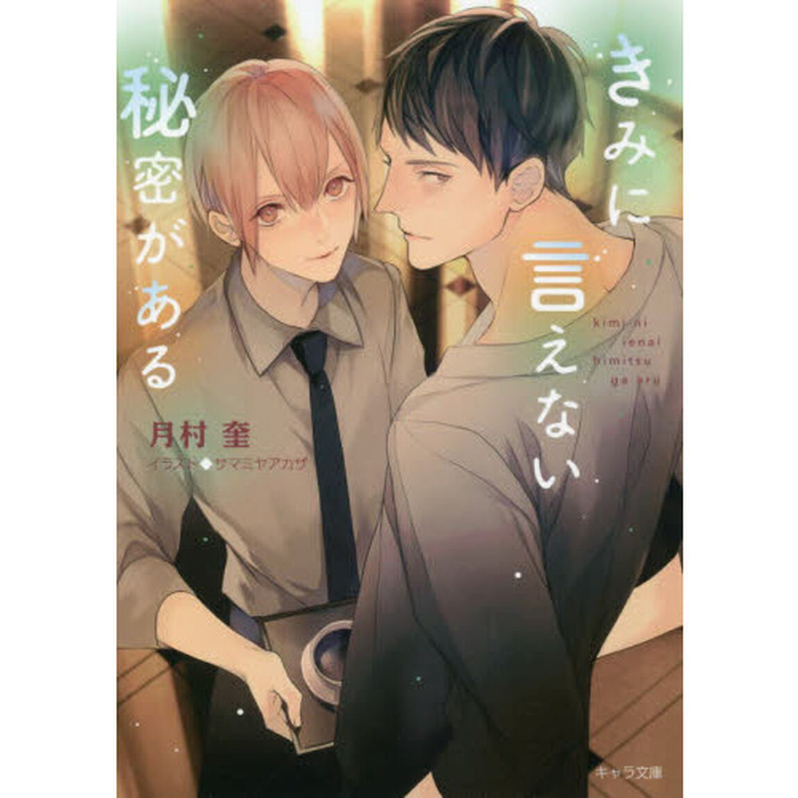 きみに言えない秘密がある