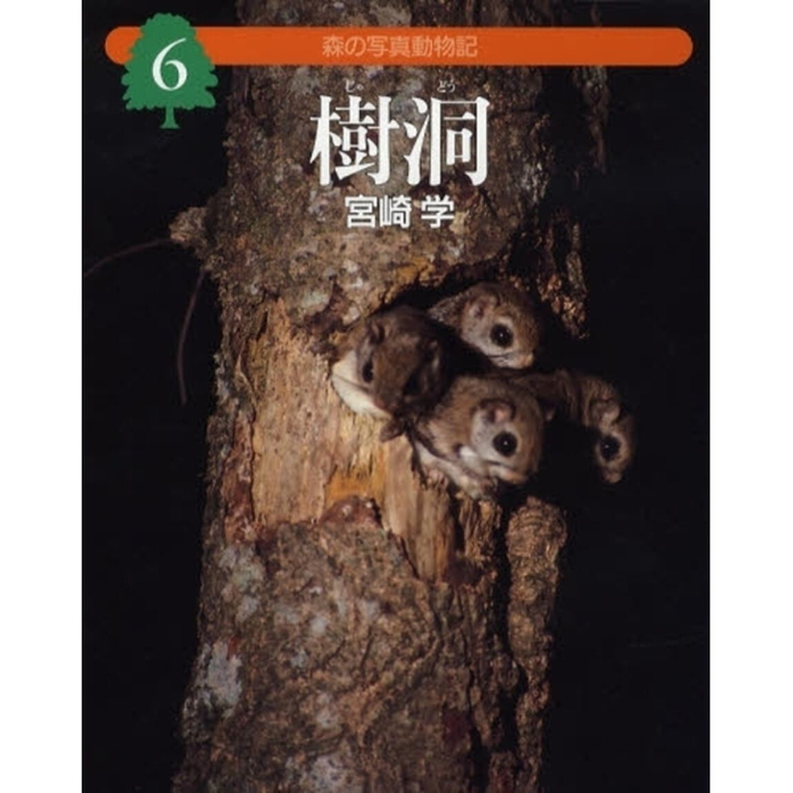 森の写真動物記　６「樹洞」