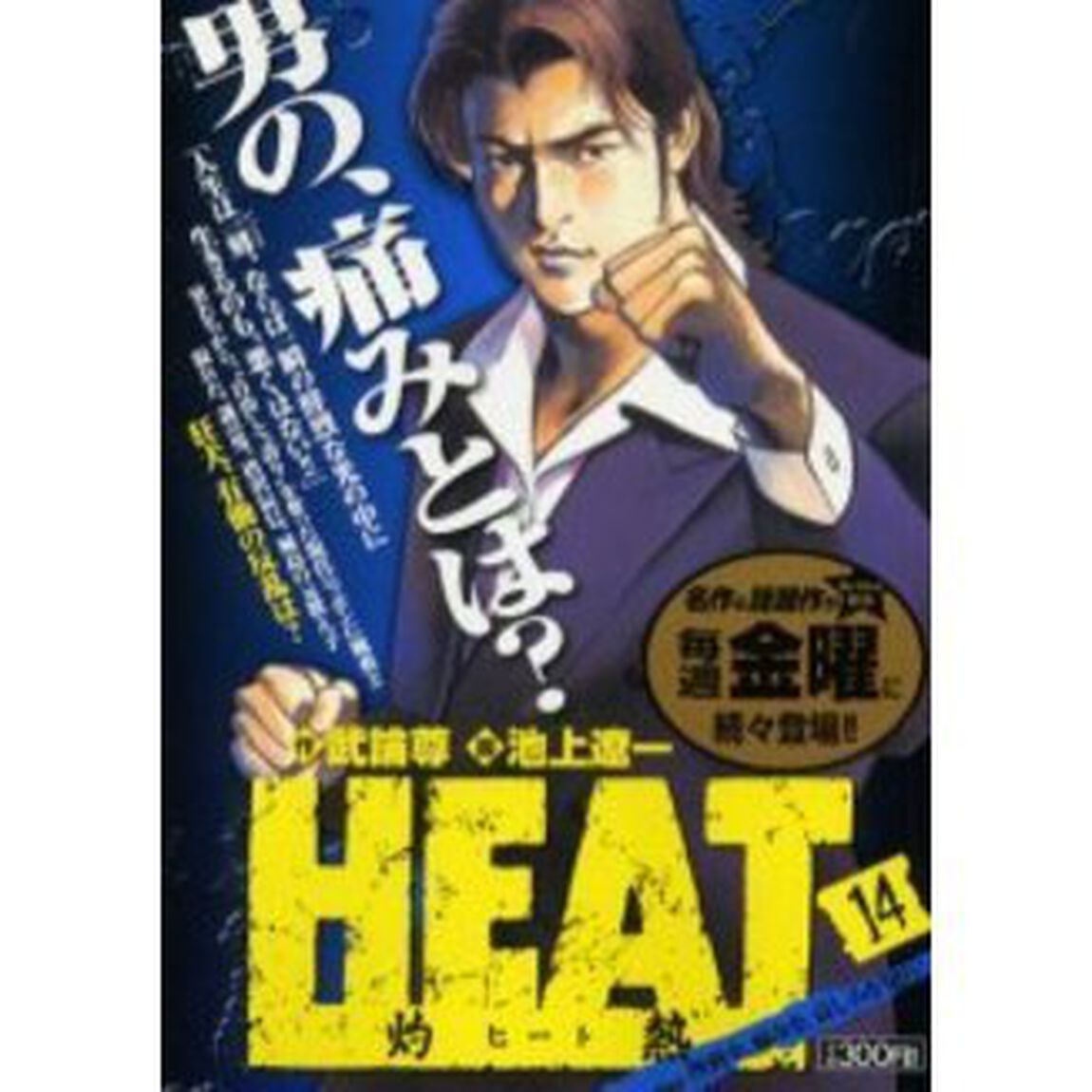 ＨＥＡＴ－灼熱－　挫折を、痛みを、哀しみ