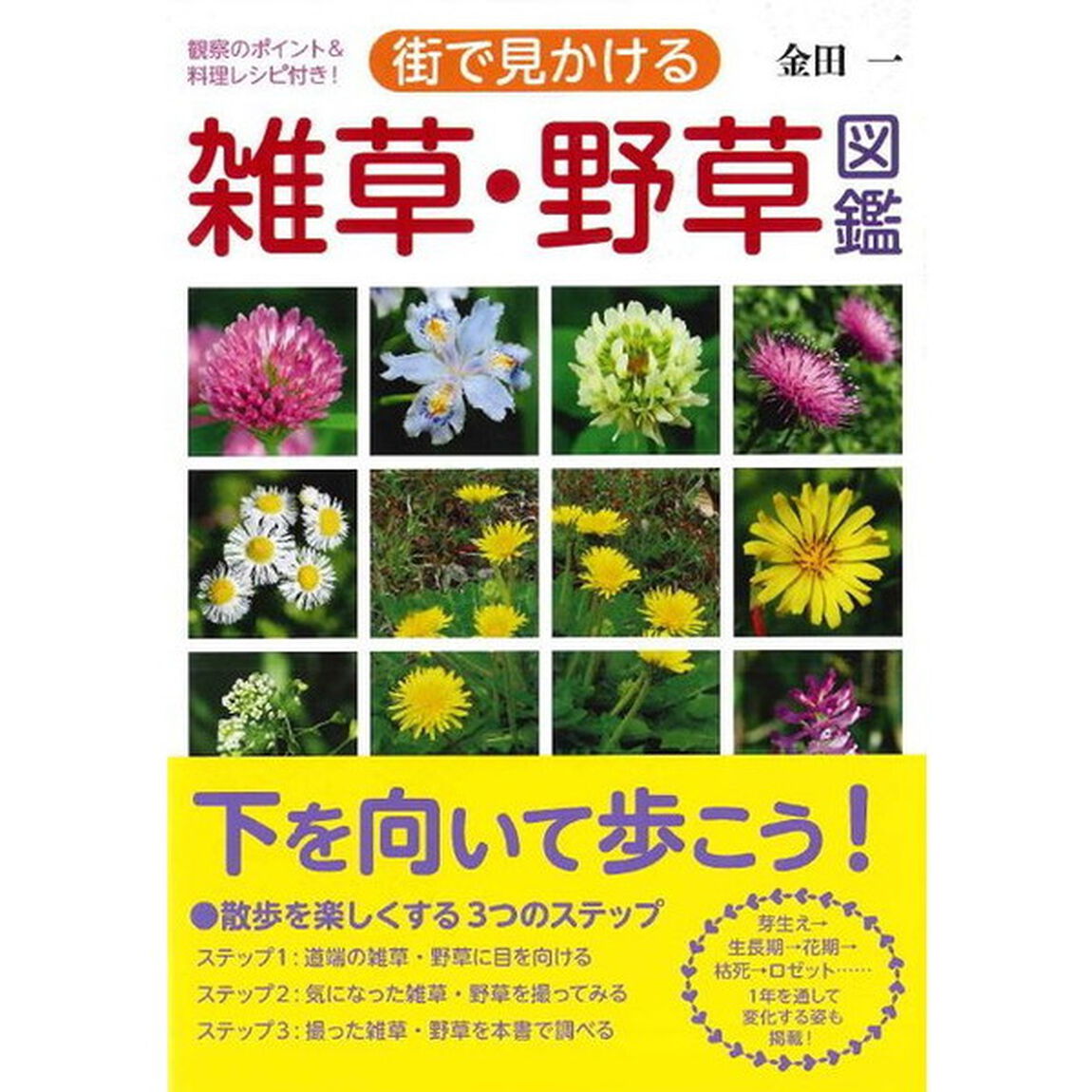 街で見かける雑草・野草図鑑　観察のポイント＆料理レシピ付き！