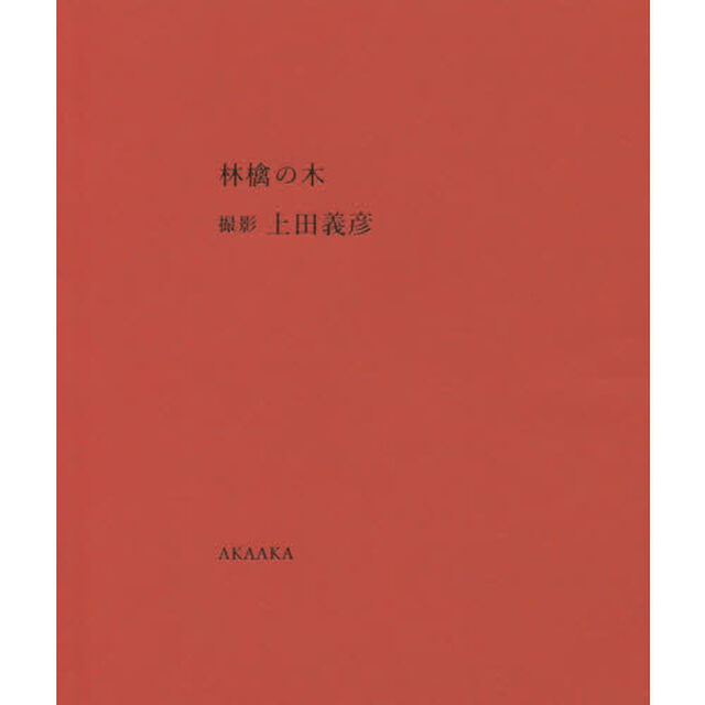 林檎の木