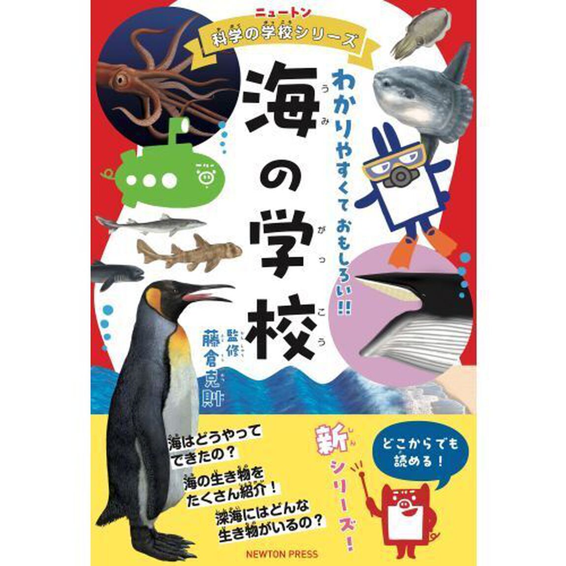 海の学校