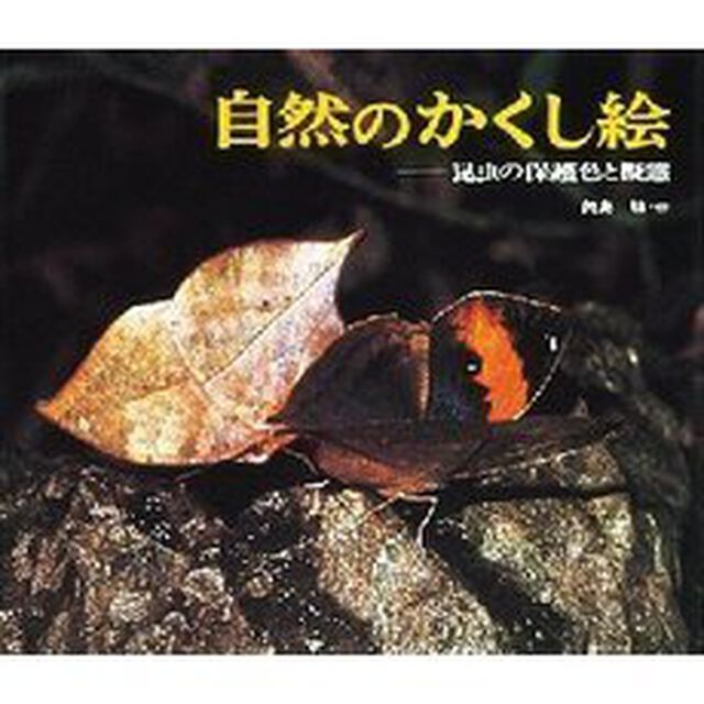 自然のかくし絵　昆虫の保護色と擬態　写真絵本「改訂新版」