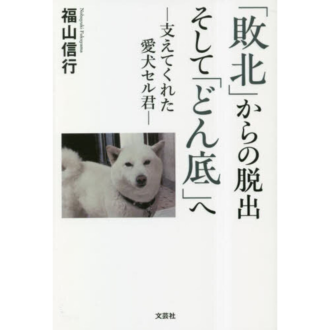 「敗北」からの脱出そして「どん底」へ　支えてくれた愛犬セル君