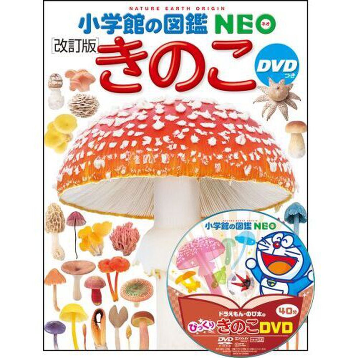 きのこ「改訂版」