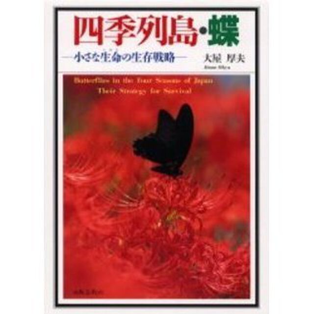 四季列島・蝶　小さな生命の生存戦略