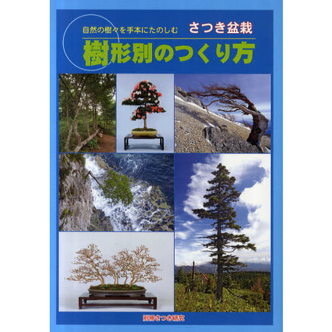 さつき盆栽樹形別のつくり方　自然の樹々を手本にたのしむ