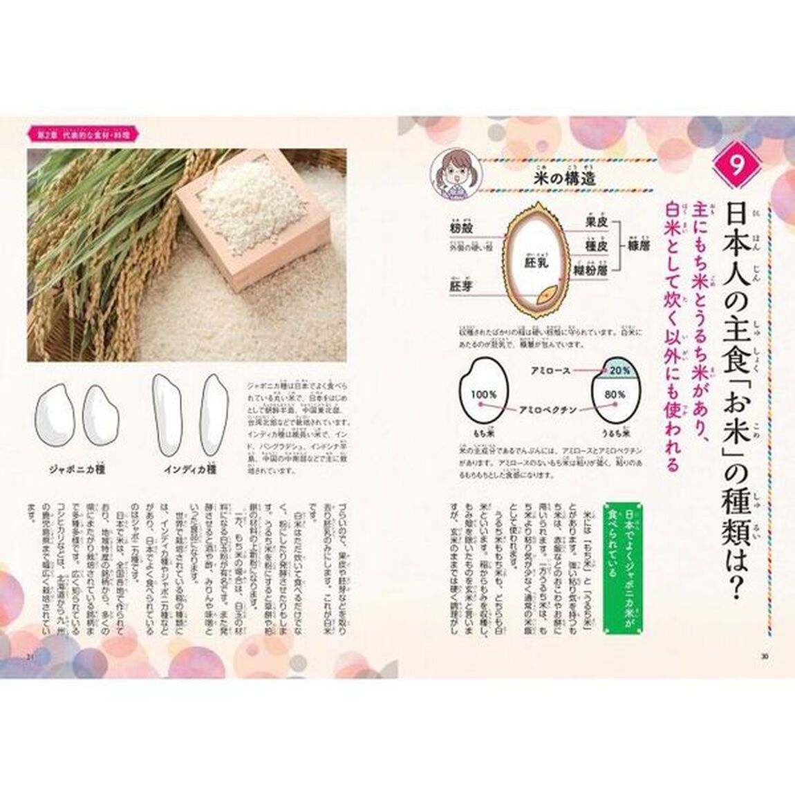 知ると楽しい！和食のひみつ　世界に広がるニッポンの食文化