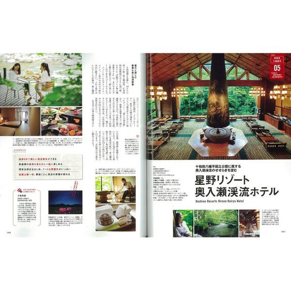 犬連れ旅行完全ガイド　日本全国からとっておきのスポット＆宿を厳選紹介