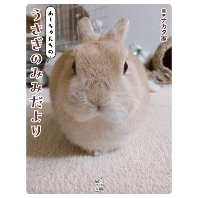 あーちゃんちのうさぎのみみだより