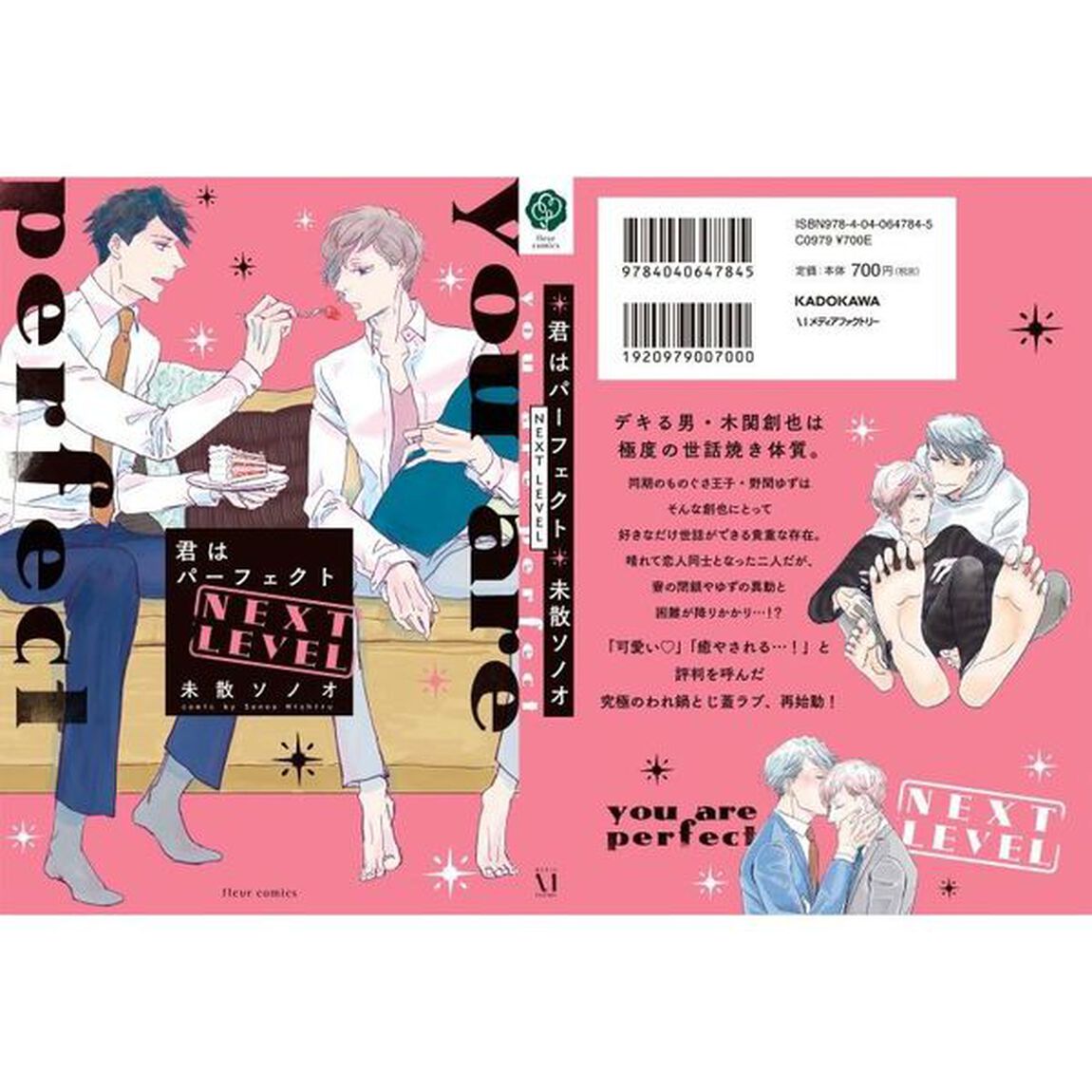 君はパーフェクトＮＥＸＴ　ＬＥＶＥＬ